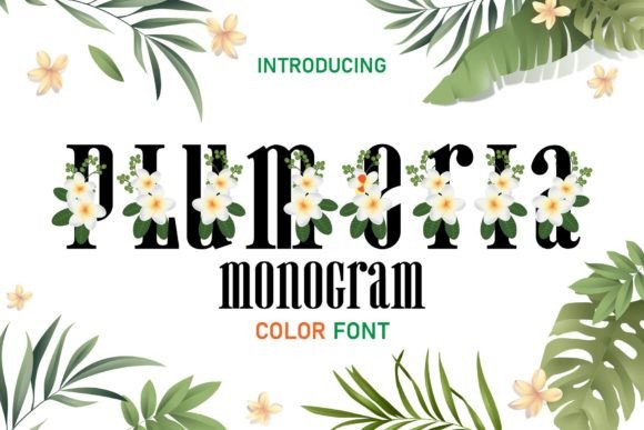 Plumeria Monogram: A Display Font That Brings Summer to Web Design